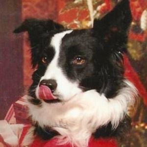 Meet your Posher, Margaret h